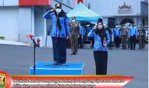 IMG_20221214_170916