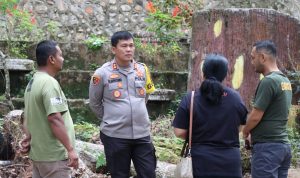 IMG-20230102-WA0016