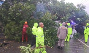 IMG-20230303-WA0085