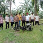 IMG-20240203-WA0012