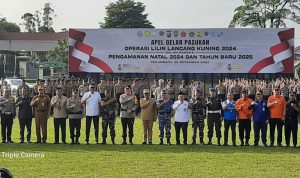 IMG-20241220-WA0008